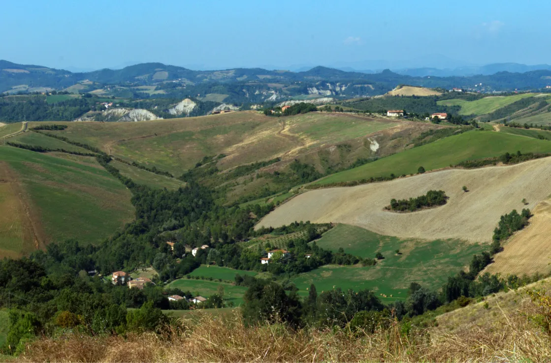 Bologna